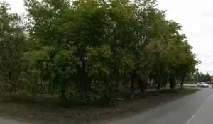 Фотография Адвокат Косарев А.А. 0