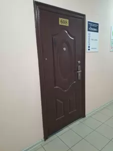 Фотография Гелиос 4